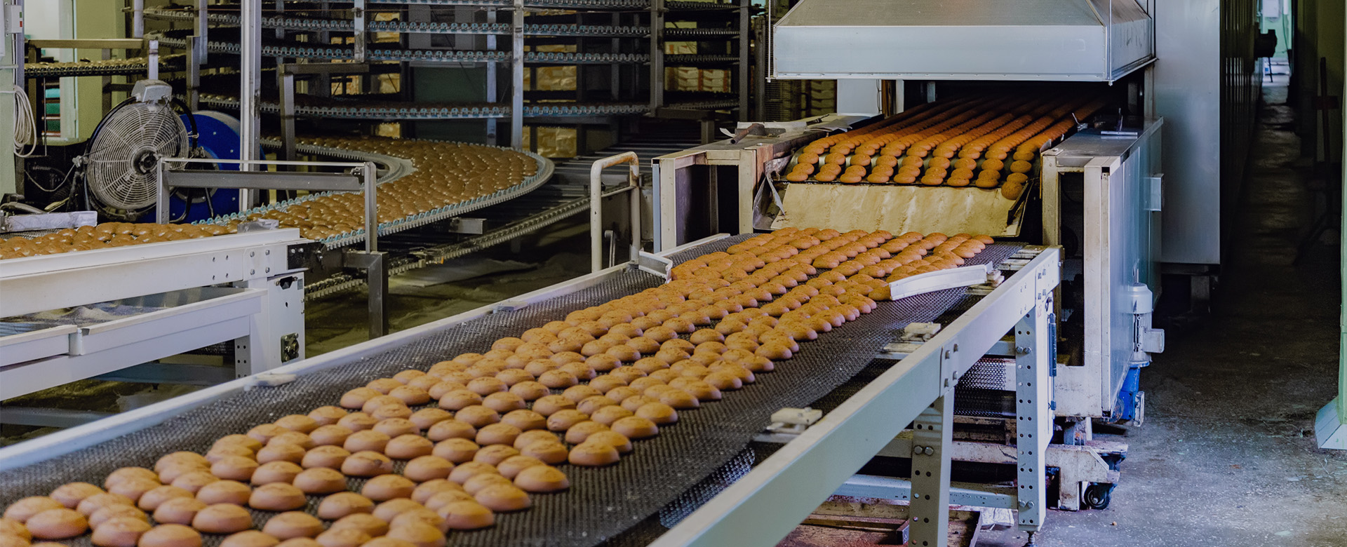 Processamento e embalagem de alimentos